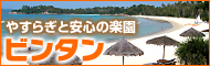 【7-10月出発　ANA便で行く】★ビンタン島５日間（ニルワナ・リゾート・ホテル）